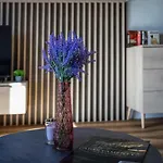 Park A25 -z Dostepem Do Basenu, Sauny, Jacuzzi, Silowni Appartement Szklarska Poręba